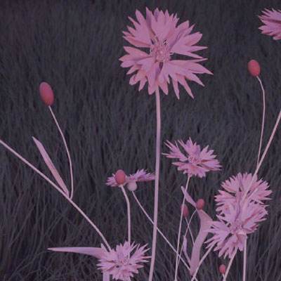 新188app官网下载